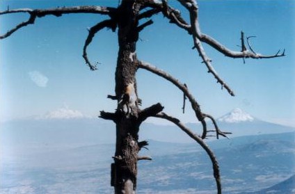 Vista hacia el Popocatépetl y el Ixtaccíhuatl