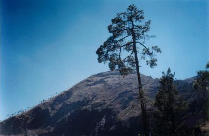 Una de las cumbres del Ajusco