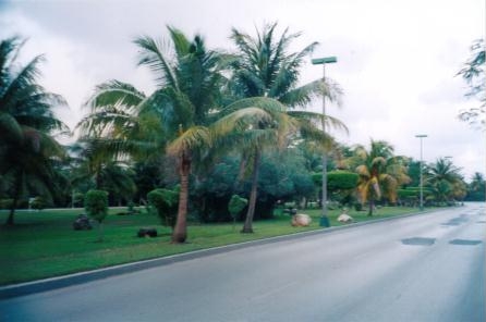 Avenida que lleva a la Zona Hotelera de Cancún