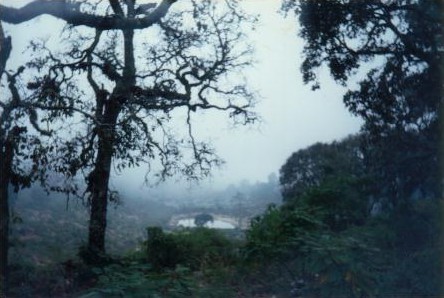 La neblina cubre las zonas altas de la sierra